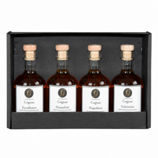 Degustations-Set Cognac (je 100ml)